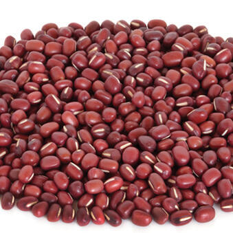 Organic adzuki beans 